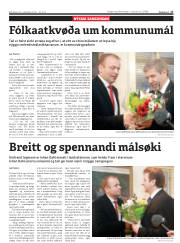 Síða 17