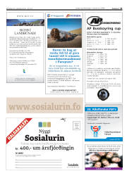 Síða 31