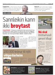 Síða 11