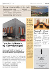 Síða 13