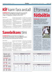 Síða 17