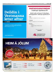 Síða 25