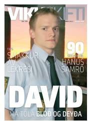 Síða 33