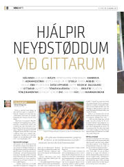 Síða 40