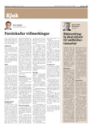 Síða 21