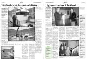 Síða 5