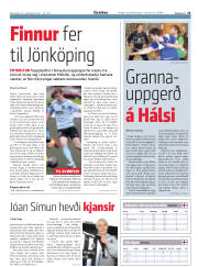 Síða 25