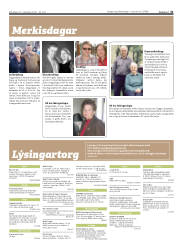 Síða 31