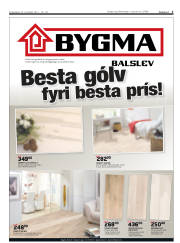 Síða 3