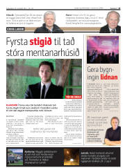 Síða 13
