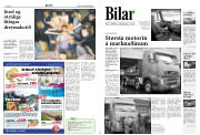Síða 8