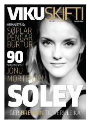 Síða 33