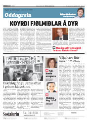 Síða 2