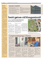 Síða 6