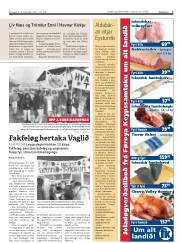 Síða 7