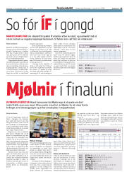 Síða 15