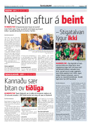 Síða 17