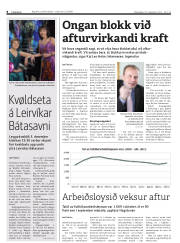 Síða 8
