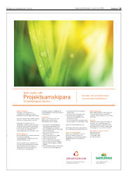 Síða 11