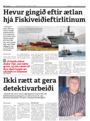 Síða 12