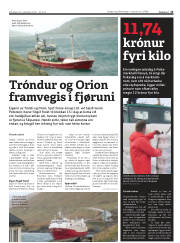 Síða 13