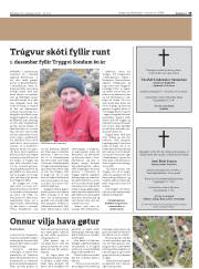Síða 19