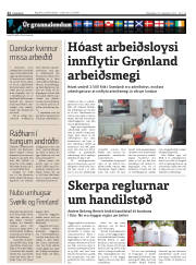 Síða 22