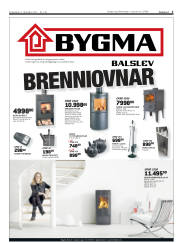 Síða 3