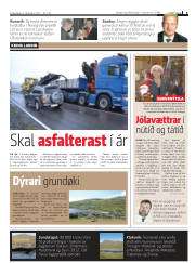 Síða 9