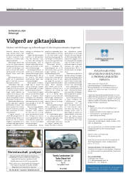 Síða 17