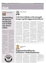 Síða 20