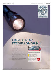 Síða 31