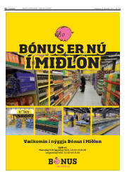 Síða 32