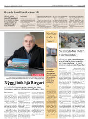 Síða 11