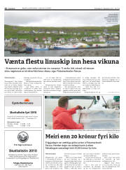 Síða 12