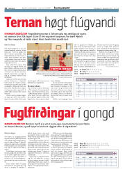 Síða 14