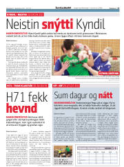 Síða 17