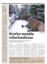 Síða 4