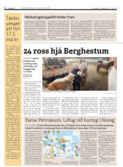 Síða 8