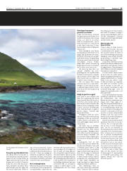 Síða 17
