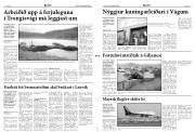 Síða 3