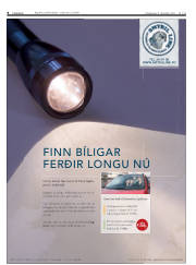Síða 8