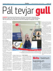 Síða 17