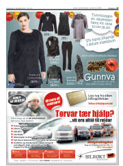 Síða 29