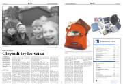 Síða 8