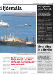 Síða 11