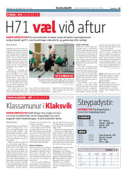 Síða 15