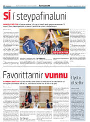 Síða 20