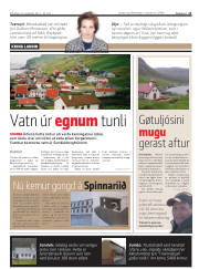 Síða 11
