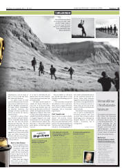 Síða 13